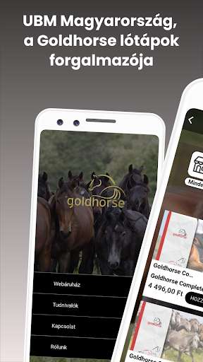 Run android online APK GoldHorse from MyAndroid or emulate GoldHorse using MyAndroid