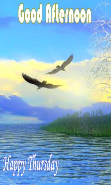 Run android online APK Good Afternoon Messages from MyAndroid or emulate Good Afternoon Messages using MyAndroid