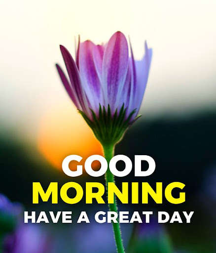 Run android online APK Good Day Wishes from MyAndroid or emulate Good Day Wishes using MyAndroid