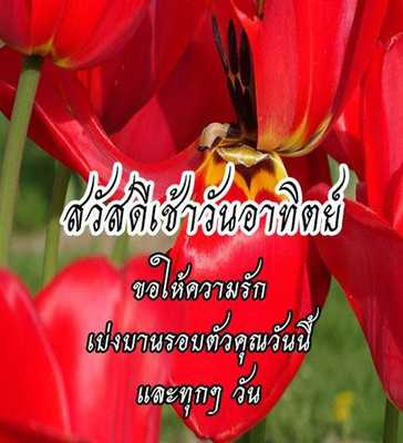 Emulate Android APK Good Morning Beautiful Picture Emulate Android APK Good Morning Beautiful Picture