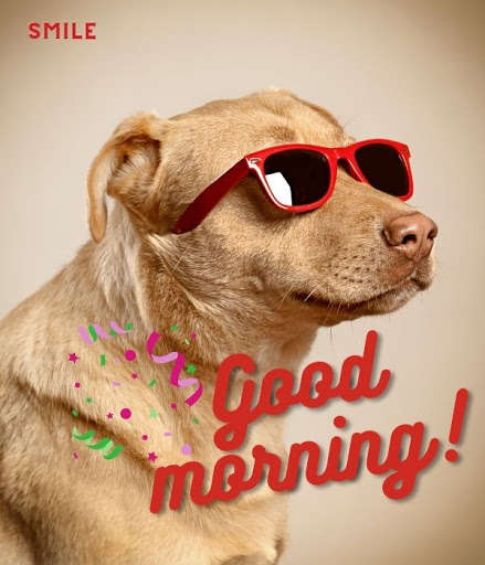 Run android online APK Good Morning Cute from MyAndroid or emulate Good Morning Cute using MyAndroid Run android online APK Good Morning Cute from MyAndroid or emulate Good Morning Cute using MyAndroid