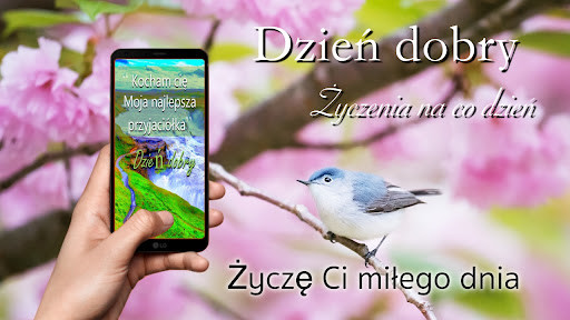 Run android online APK Good Morning Everyday Greetings in Polish from MyAndroid or emulate Good Morning Everyday Greetings in Polish using MyAndroid Run android online APK Good Morning Everyday Greetings in Polish from MyAndroid or emulate Good Morning Everyday Greetings in Polish using MyAndroid