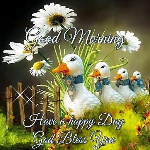 Emulate Android APK good morning good night and evening quotes Emulate Android APK good morning good night and evening quotes