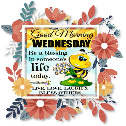 Run android online APK Good Morning Good Night GIF from MyAndroid or emulate Good Morning Good Night GIF using MyAndroid