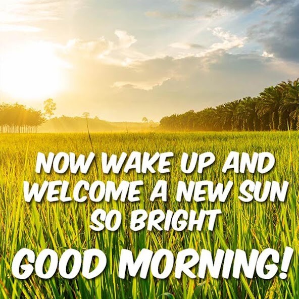 Run android online APK Good Morning Greeting GIF from MyAndroid or emulate Good Morning Greeting GIF using MyAndroid Run android online APK Good Morning Greeting GIF from MyAndroid or emulate Good Morning Greeting GIF using MyAndroid