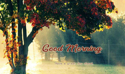 Run android online APK Good Morning Lovely Greetings & Quotes Messages from MyAndroid or emulate Good Morning Lovely Greetings & Quotes Messages using MyAndroid Run android online APK Good Morning Lovely Greetings & Quotes Messages from MyAndroid or emulate Good Morning Lovely Greetings & Quotes Messages using MyAndroid
