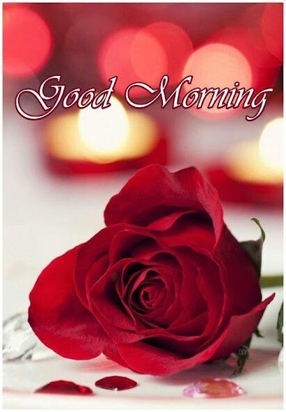 Run android online APK Good Morning My Love Gif from MyAndroid or emulate Good Morning My Love Gif using MyAndroid