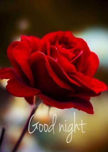 Run android online APK Good Night Animated Images from MyAndroid or emulate Good Night Animated Images using MyAndroid