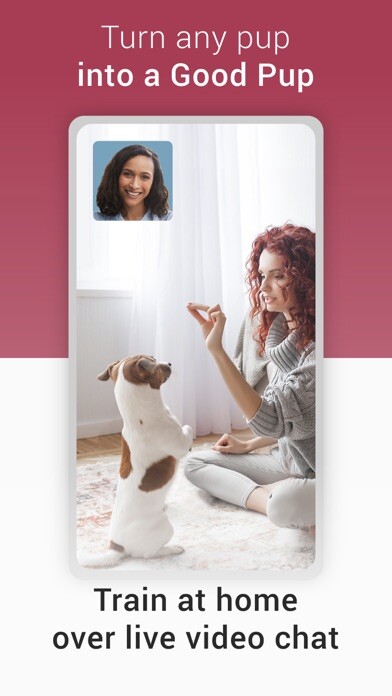Run android online APK GoodPup: Dog Training at Home from MyAndroid or emulate GoodPup: Dog Training at Home using MyAndroid