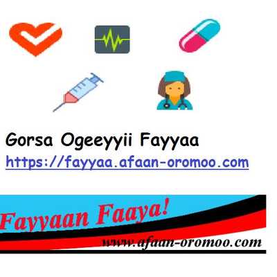 Emulate Android APK Gorsa Ogeeyyii Fayyaa Emulate Android APK Gorsa Ogeeyyii Fayyaa