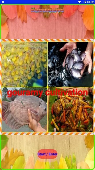 Run android online APK Gouramy Cultivation from MyAndroid or emulate Gouramy Cultivation using MyAndroid Run android online APK Gouramy Cultivation from MyAndroid or emulate Gouramy Cultivation using MyAndroid