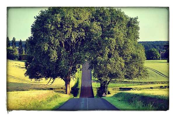 Emulate Android APK Grace Baptist Arlington