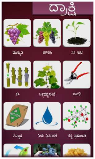 Run android online APK Grape Kannada from MyAndroid or emulate Grape Kannada using MyAndroid Run android online APK Grape Kannada from MyAndroid or emulate Grape Kannada using MyAndroid