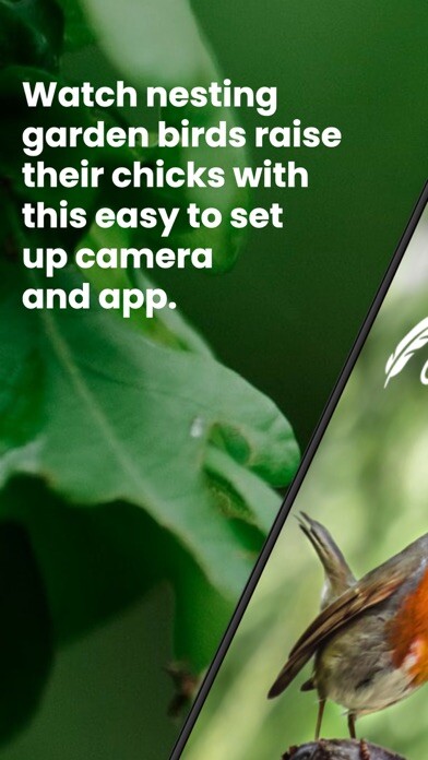 Emulate iPhone app Green Feathers using MyAndroid Emulate iPhone app Green Feathers using MyAndroid
