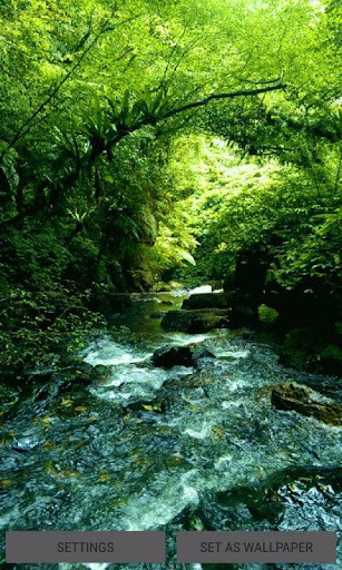 Run android online APK Green Forest River LWP from MyAndroid or emulate Green Forest River LWP using MyAndroid