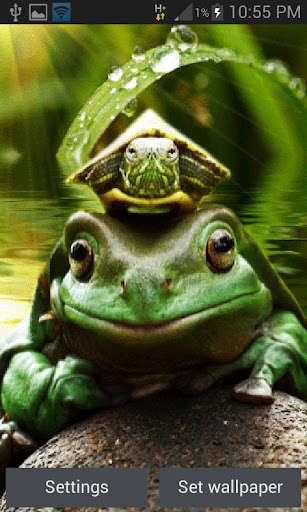 Run android online APK Green Frog Live Wallpaper from MyAndroid or emulate Green Frog Live Wallpaper using MyAndroid
