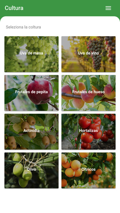 Emulate iPhone app GREEN HAS IBERIA TEC using MyAndroid Emulate iPhone app GREEN HAS IBERIA TEC using MyAndroid
