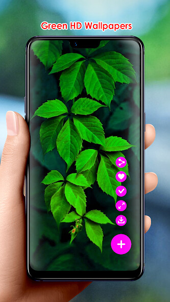 Run android online APK Green HD Wallpapers from MyAndroid or emulate Green HD Wallpapers using MyAndroid Run android online APK Green HD Wallpapers from MyAndroid or emulate Green HD Wallpapers using MyAndroid