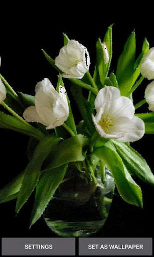 Emulate Android APK Green Leaf Flowers LWP Emulate Android APK Green Leaf Flowers LWP