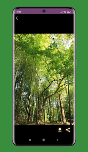 Run android online APK green screen backgrounds from MyAndroid or emulate green screen backgrounds using MyAndroid Run android online APK green screen backgrounds from MyAndroid or emulate green screen backgrounds using MyAndroid