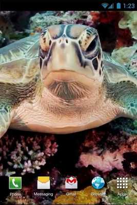 Emulate Android APK Green Turtle Live Wallpaper Emulate Android APK Green Turtle Live Wallpaper