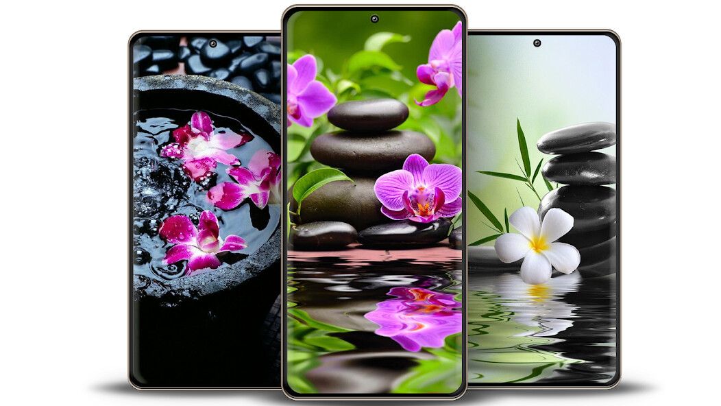 Run android online APK Green Zen Wallpaper from MyAndroid or emulate Green Zen Wallpaper using MyAndroid Run android online APK Green Zen Wallpaper from MyAndroid or emulate Green Zen Wallpaper using MyAndroid