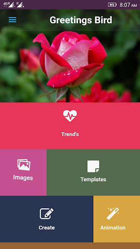 Run android online APK Greetings Bird from MyAndroid or emulate Greetings Bird using MyAndroid Run android online APK Greetings Bird from MyAndroid or emulate Greetings Bird using MyAndroid