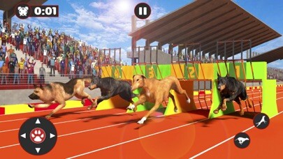 Emulate iPhone app Greyhound Dog Racing Derby using MyAndroid
