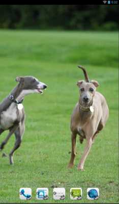 Emulate Android APK Greyhound Theme - Nova/ADW