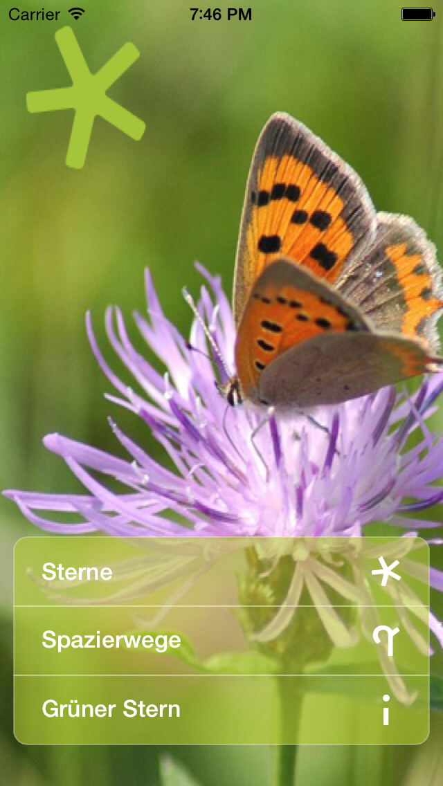 Emulate iPhone app Grüner Stern für den EmsRadweg using MyAndroid