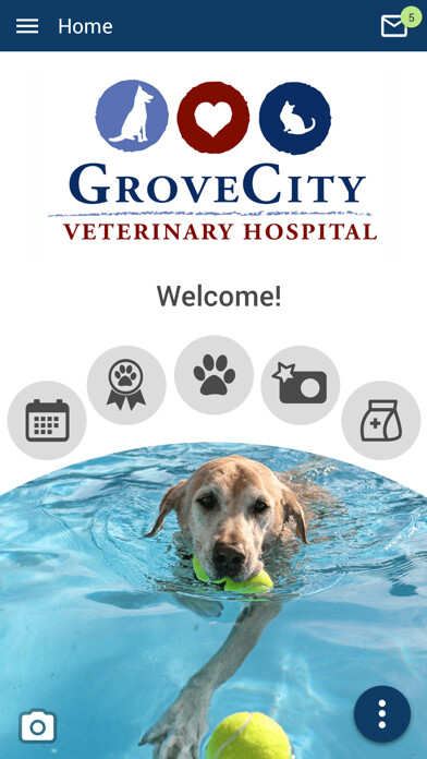 Emulate iPhone app GroveCityVet using MyAndroid