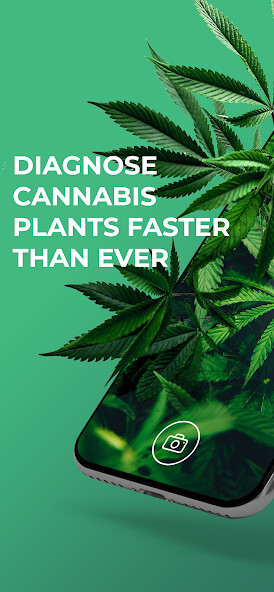 Run android online APK GrowDoc: Cannabis Plant Doctor from MyAndroid or emulate GrowDoc: Cannabis Plant Doctor using MyAndroid Run android online APK GrowDoc: Cannabis Plant Doctor from MyAndroid or emulate GrowDoc: Cannabis Plant Doctor using MyAndroid
