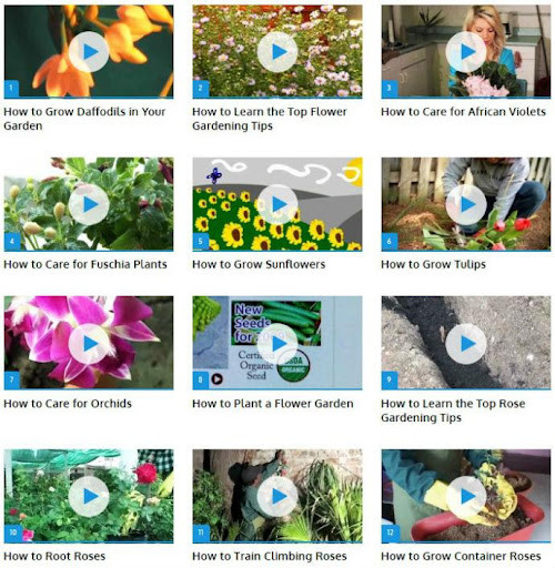 Run android online APK Grow Flowers (Guide) from MyAndroid or emulate Grow Flowers (Guide) using MyAndroid