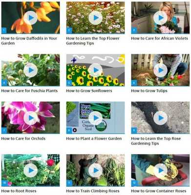 Emulate Android APK Grow Flowers
