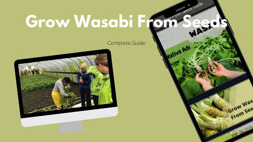 Run android online APK Grow Wasabi From Seeds Guide from MyAndroid or emulate Grow Wasabi From Seeds Guide using MyAndroid