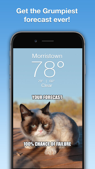 Run android online APK Grumpy Cat Weather from MyAndroid or emulate Grumpy Cat Weather using MyAndroid