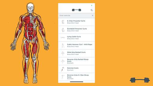 Run android online APK Grvty - Exercise Anatomy from MyAndroid or emulate Grvty - Exercise Anatomy using MyAndroid Run android online APK Grvty - Exercise Anatomy from MyAndroid or emulate Grvty - Exercise Anatomy using MyAndroid