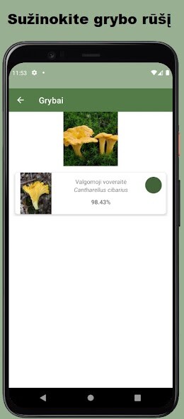 Run android online APK Grybai from MyAndroid or emulate Grybai using MyAndroid Run android online APK Grybai from MyAndroid or emulate Grybai using MyAndroid