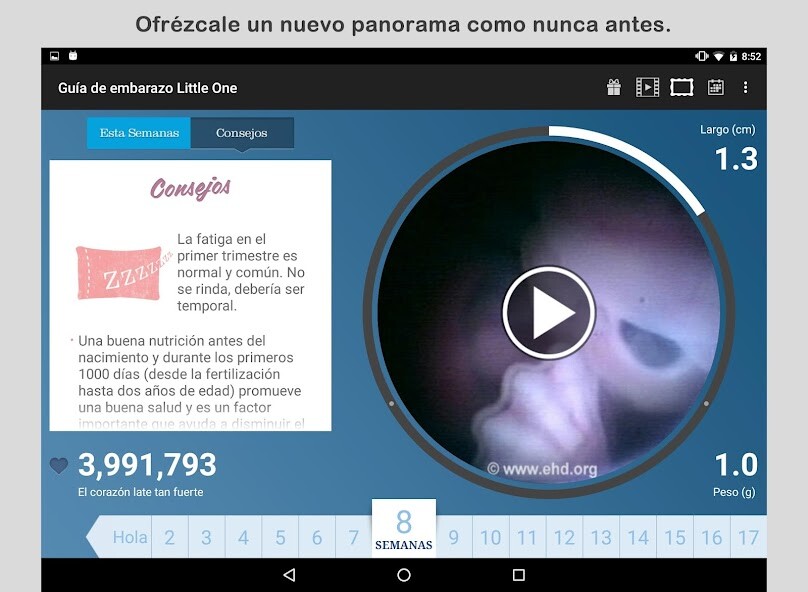 Run android online APK Guía de embarazo Little One from MyAndroid or emulate Guía de embarazo Little One using MyAndroid Run android online APK Guía de embarazo Little One from MyAndroid or emulate Guía de embarazo Little One using MyAndroid
