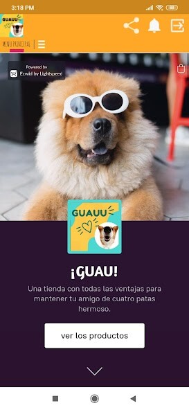 Run android online APK Guauu from MyAndroid or emulate Guauu using MyAndroid Run android online APK Guauu from MyAndroid or emulate Guauu using MyAndroid