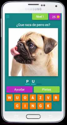 Emulate Android APK Guess the breed of the dog - What dog breed is it? Emulate Android APK Guess the breed of the dog - What dog breed is it?