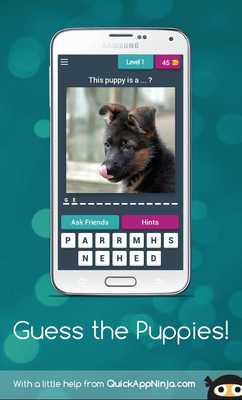 Emulate Android APK Guess the Puppies! Emulate Android APK Guess the Puppies!