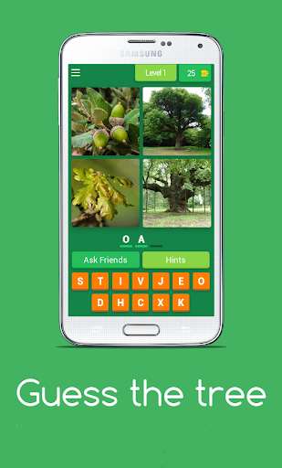 Run android online APK Guess the tree - Tree species identification quiz from MyAndroid or emulate Guess the tree - Tree species identification quiz using MyAndroid
