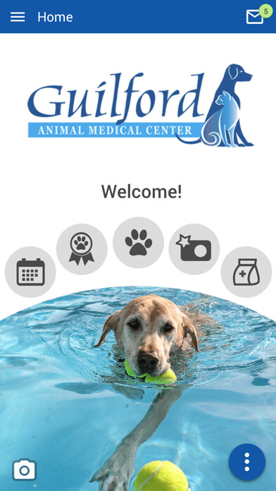 Emulate Android APK Guilford AMC Emulate Android APK Guilford AMC