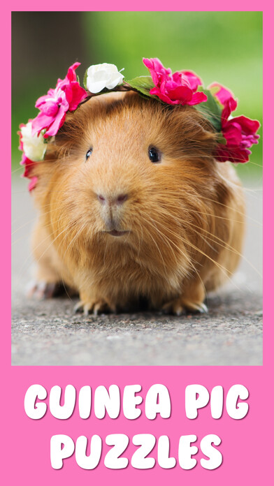Emulate iPhone app Guinea Pig Kids Jigsaw Puzzle using MyAndroid Emulate iPhone app Guinea Pig Kids Jigsaw Puzzle using MyAndroid