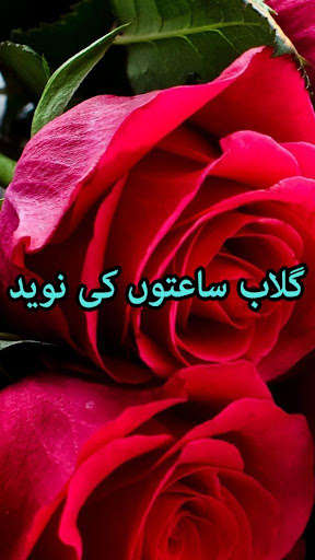 Run android online APK Gulab saaton ki naveed by Maryam Azeez - Offline from MyAndroid or emulate Gulab saaton ki naveed by Maryam Azeez - Offline using MyAndroid Run android online APK Gulab saaton ki naveed by Maryam Azeez - Offline from MyAndroid or emulate Gulab saaton ki naveed by Maryam Azeez - Offline using MyAndroid