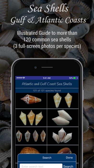 Emulate iPhone app Gulf and Atlantic Sea Shells using MyAndroid Emulate iPhone app Gulf and Atlantic Sea Shells using MyAndroid