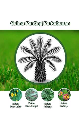 Run android online APK Gulma Penting Perkebunan from MyAndroid or emulate Gulma Penting Perkebunan using MyAndroid Run android online APK Gulma Penting Perkebunan from MyAndroid or emulate Gulma Penting Perkebunan using MyAndroid