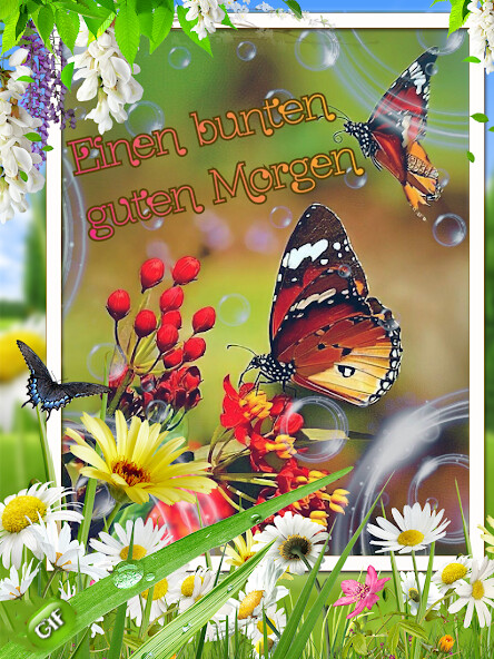 Run android online APK Guten Abend Morgen Nacht 2023 from MyAndroid or emulate Guten Abend Morgen Nacht 2023 using MyAndroid