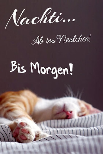 Run android online APK Gute Nacht Blumen GIF from MyAndroid or emulate Gute Nacht Blumen GIF using MyAndroid Run android online APK Gute Nacht Blumen GIF from MyAndroid or emulate Gute Nacht Blumen GIF using MyAndroid
